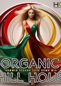 VA - Organic Chill House (2024) MP3