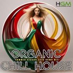 VA – Organic Chill House (2024) MP3