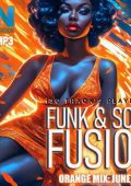 VA - Funk And Soul Fusion (2024) MP3
