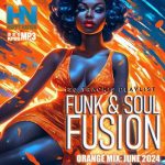 VA – Funk And Soul Fusion (2024) MP3