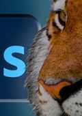Udemy - Photoshop: manuale di sopravvivenza per creatori web e app - Ita