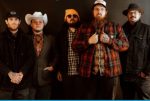 49 Winchester – Discography: 8 Releases (2014-2024), MP3, 320