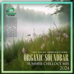 VA – Organic Soundbar (2024) MP3