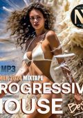 VA - NMN Progressive House Mixtape (2024) MP3