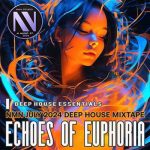 VA – Echoes Of Euphoria (2024) MP3
