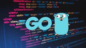 Udemy – Go – Dalle Basi ai Concetti Avanzati – Ita