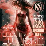 VA – Electro Euphoria (2024) [MP3|320]