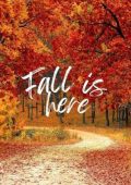Fall Is Here (2024)
