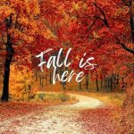 img Fall Is Here (2024)