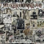 img Mushroomhead - A Wonderful Life (2020)