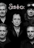 SkinInc. - Discography (2000-2024)