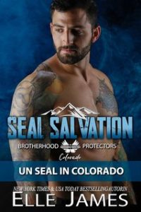 Elle James – Brotherhood Protectors Colorado Vol. 1. Seal Salvation (2024)