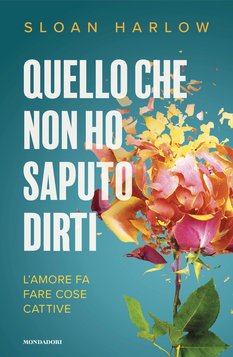 Sloan Harlow – Quello che non ho saputo dirti (2024)