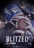 S.E. Harmon - Blitzed (Rules of possession 3) (2024)