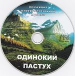 VA – Lonely Shepherd – Instrumental Music Gallery (13 albums) (2009) MP3