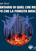 Michele Ruol - Inventario di quel che resta dopo che la foresta brucia (2024) (mp3 - 128 kbps)