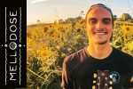 Mellodose – Discography (2020-2024) (2 albums, 7 EPs, 44 singles) (+Austin Grimm,Chiefus,Cultivated Mind,Derek McBryde,Kings and Comrades,One Culture,Snugit Loose,Sons of Paradise,Stoney Banks,Sun-Dried Vibes,The Islands,TreeHouse,Tropidelic,Vibright), MP3, 320