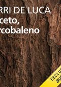 Erri De Luca - Aceto, arcobaleno (2020) (mp3 - 128 kbps)