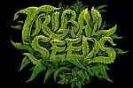 Tribal Seeds – Discography (2005-2024) (6 albums, 1 live, 1 EP, 11 singles) (+Hempress Sativa, Hector Roots Lewis, Iya Terra, The Movement, Maad T-Ray, Reggaeville), MP3, 320