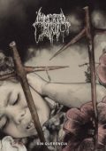 Immortal Bird - Sin Querencia (2024)
