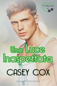 Casey Cox – Vet Shop Boys Serie Vol. 3. Una luce inaspettata (2024)