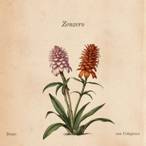 Dente feat. Colapesce –  Zenzero [singolo] (2024) .mp3 – 320 kbps