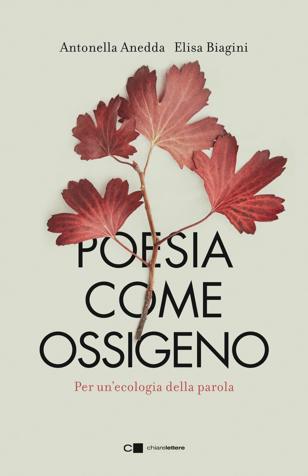 Antonella Anedda, Elisa Biagini – Poesia come ossigeno (2021)