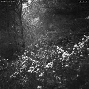 Chiara  Licciardi – Una Luce Più (2024) .mp3 – 320 kbps