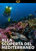 img Alla scoperta del Mediterraneo (2020) .mkv DLMux 1080p E-AC3+AC3 ITA SUBS