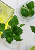 Udemy - Corso di Scienze Erboristiche - Ita