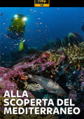 img Alla scoperta del Mediterraneo (2020) .mkv DLMux 720p E-AC3+AC3 ITA SUBS