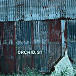 img Arimea - Orchid Street (2024)