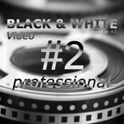Franzis BLACK & WHITE Video #2 Professional v2.25.04078 64 Bit – Ita