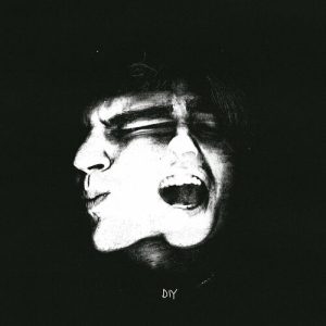 Psicologi – Diy (2024) .mp3 – 320 kbps