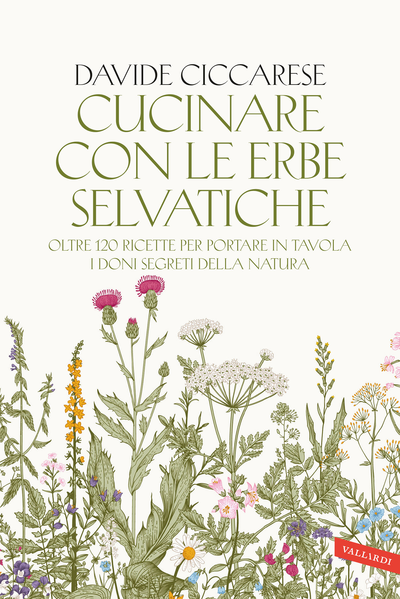 Davide Ciccarese – Cucinare con le erbe selvatiche (2024)