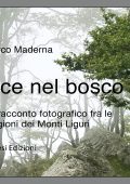 Marco Maderna - Luce nel bosco (2024)