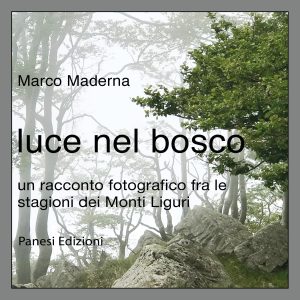 Marco Maderna – Luce nel bosco (2024)