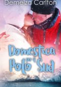 Demelza Carlton - Domestica per il Polo Sud. Resort dell'isola di Romance 7 (2024)