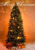 Merry Christmas! (2024)