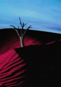 Velvetic - Ephemeris (2024)