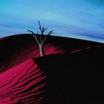 img Velvetic - Ephemeris (2024)