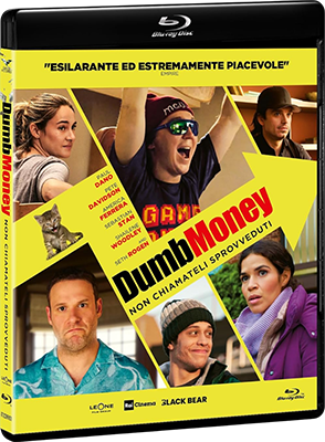 Dumb Money – Non Chiamateli Sprovveduti (2023).mkv BluRay 720p DTS iTA AC3 iTA-ENG x264