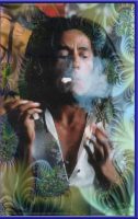 Bob Marley & the Wailers – 1979-07-21 Amandla Festival (1979) DVD5