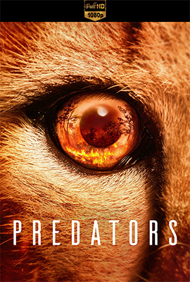 Predators – Stagione 1 (2022) [Completa] WEB-DL 1080p AAC ITA SUBS