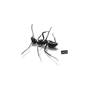 Gazzelle – Indi (2025) .mp3 – 320 kbps