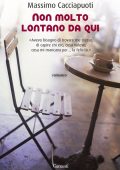 Massimo Cacciapuoti - Non molto lontano da qui (2011)