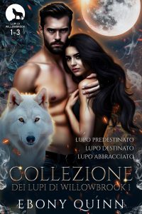 Ebony Quinn – Collezione dei lupi di Willowbrook 1 (2025)