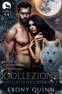 Ebony Quinn – Collezione dei lupi di Willowbrook 2 (2025)