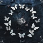 img Deadend - The Butterfly Effect (2025)