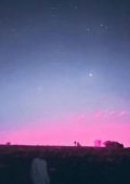 Neverbh - Insonnia (2024)